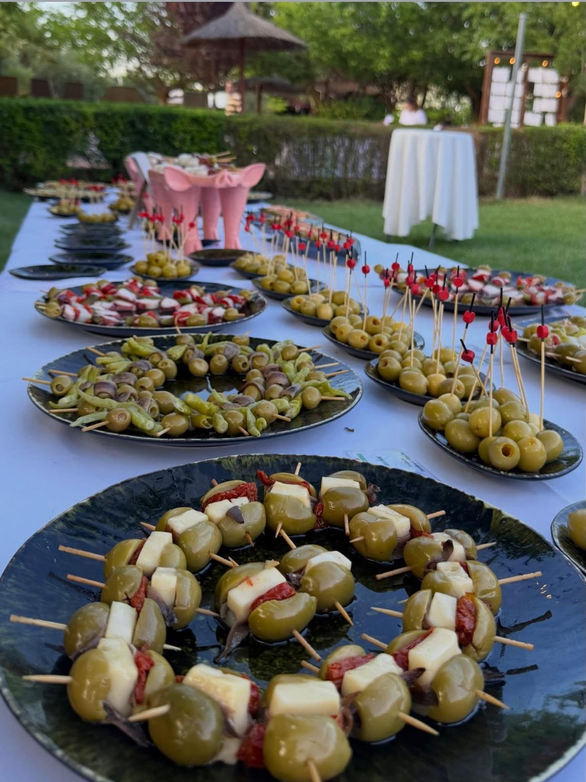 Detalle de aperitivos artesanos Olives Dasi