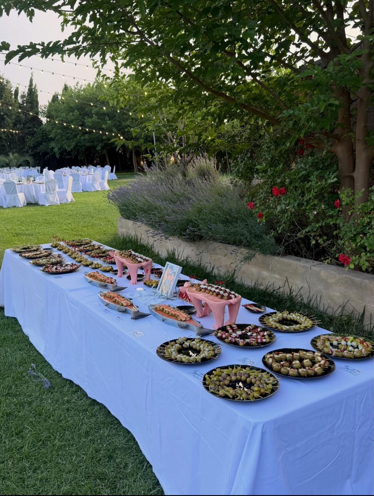 Corner Olives Dasi preparado en un jardín para una celebración